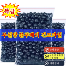 1/1+1타이완산 특급 무설탕 블루베리 건조과일 프리미엄 블루베리 건조과일 블루베리 견과류, 5개, 100g