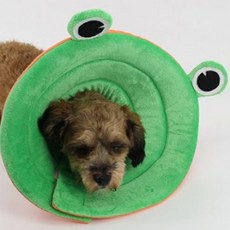 반려동물 애완동물 강아지 고양이 애견 위생 피부 목 관리 넥카라 (Araium)