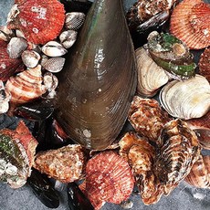 산지 통영 당일조업 가리비 굴전문 바다장어 제철먹거리, 조개구이세트2.5kg, 1개