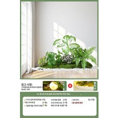 화분 조경 나무 A 참조 식물 모서리 장식 실내 계단, 청원 1m