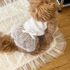 애견 레이어드 망사 원피스, 1개, 화이트