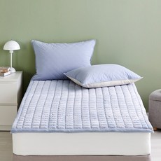 모던하우스 촉촉한 밀키 소프트벨벳 패드 슈퍼싱글 블루-CV2225147