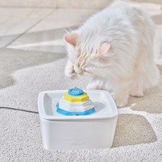 오엘라 3중필터 세라믹 도자기 반려동물 고양이 강아지 펫 애견 저소음 자동 급수기 정수기 음수대 물그릇 PW02 턱드름방지 알레르기방지, 1박스