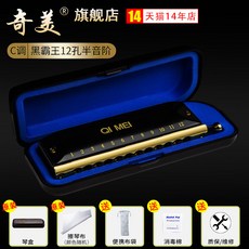奇美黑霸王半音階口琴，16孔/12孔學生用C調專業演奏口琴，初學優選, 黑霸王款12孔|圓吹口半音階, 1個