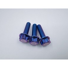 【TiONLY】鈦鴻利 正鈦螺絲 M8*30 特外六角, 藍紫色, 1個