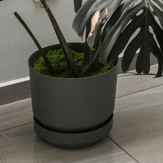 조화 이끼 100g 테라리움 인조 화분 조경 소품, 1개