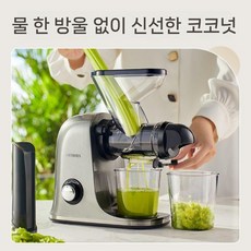 착즙기 당근 오렌지 원액기 녹즙기 쥬서기 기계 가정용 과일, 1. 그레이