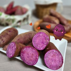 해남 자색 햇고구마 슈퍼푸드 안토시아닌 영양 간식 특상, 1개, 5kg