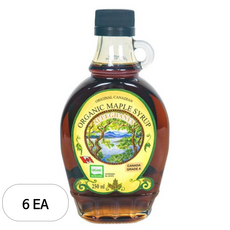 알레가니 유기농 메이플시럽, 250ml, 6개