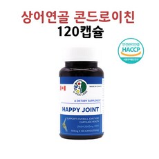 관절엔 콘드로이친 1200 상어연골 c6s 저분자 MSM 캐나다 해피 조인트 가루 분말 효능 120캡슐, 120회분, 1개