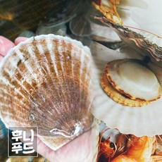 [후니푸드] 왕가리비 1k 특대 3~8미 참가리비 대왕 조개 캠핑, 1개, 1kg(특대 3-8미)