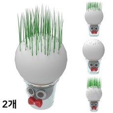 꼬마 잔디인형 만들기 토피어리 화분 조형물 DIY 식물키우기 생명과학교구 (2개)