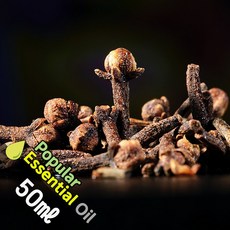 K009 클로브립 100ml (Clove Essential Oil) 천연에센셜 오일 보급형 원액 아로마, 1개