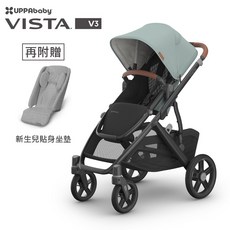 UPPAbaby VISTA V3王者之尊旗艦推車，贈新生兒貼身坐墊，內含防蚊帳/擋雨罩，單人嬰兒手推車【六甲媽咪】, 黑色啞光 JAKE,單人推車