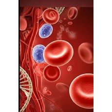 (영문도서) Beneath the Vein: The Silent Struggles of Blood Disorders Paperback, Independently Published, English, 9798300806637