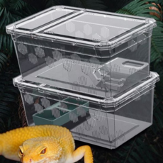 루체트리 사육장 대형 아크릴 크레 용품 도마뱀 파충류 케이지 사육통 채집통, H20 대형