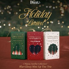 Dinto 禮盒 美麗櫻唇 迷你唇釉 紅色暖系熱戀、白色自然月光、綠色冰感清新, 1個, 紅盒