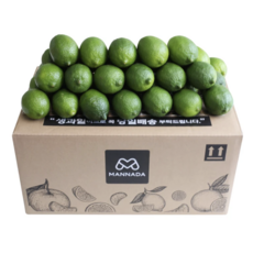 멕시코 후레쉬 라임 8kg 새콤한 맛 업소용 카페용 대용량 [원산지:, 1박스