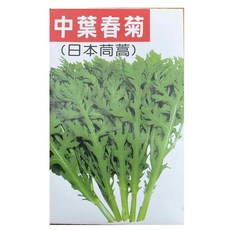 中葉春菊種子 (日本茼蒿) - 家庭園藝盆栽蔬菜種子，體驗種植樂趣, 1個