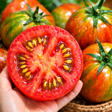 부산 대저 토마토 산지직송 제철 특품 대저토마토, 1박스, (특품) L-2L 대과 2.5kg