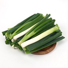 세상별미 국내산 무농약 컷팅 대파 1kg, 1개