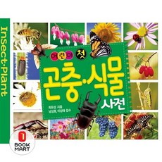 북마트 어린이 첫 곤충 식물 사전(양장본 Hardcover) ISBN-9791170182115