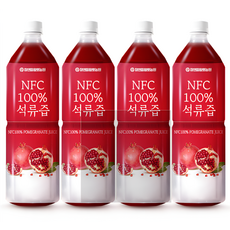 참앤들황토농원 NFC 착즙 석류즙주스 1L 4병 튀르키예산 석류착즙액 갱년기여성 과채주스