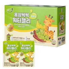 네이처픽 홍삼씩씩 어린이 워터젤리, 청포도맛, 100g, 10팩, 단품