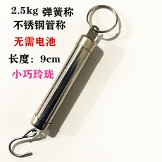 台灣出貨 迷你彈簧秤 不鏽鋼手提便攜管子秤 機械計量工具掛秤鈎秤吊秤測力計 彈簧稱 磅秤 吊秤 電子秤 機械電子計量稱, 2.5kg本色彈簧秤, 1個