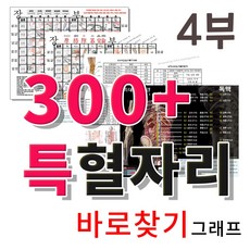혈자리 오수혈외 300+ 차트 그래프 한의학 중요혈자리를 한눈에 보는 위치 바로찾기 + 구당 김남수 혈자리 + 김일훈 뜸자리 총정리 (초보자혈자리 그림혈자리 침공부 뜸공부)