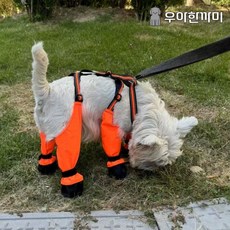 우아한까미 강아지신발 애견슈즈 산책 목줄 가슴줄, 1개