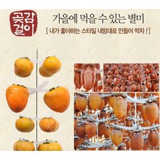 국산 프리미엄곶감걸이100개용 곶감건조 꽂감걸이, 꼭지핀100개, 1개