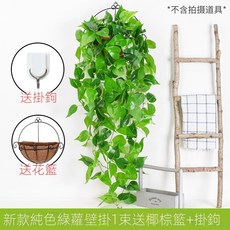 仿真綠蘿客廳掛墻綠植 壁掛植物裝飾 垂吊假花藤 條室內藤蔓吊蘭吊籃, 新款純色綠蘿吊蘭1束(送椰棕籃）, 1個