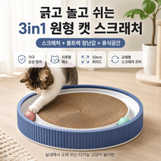 원형 고양이 스크래쳐 장난감 볼트랙 고양이 놀이판, 1개, 파란색