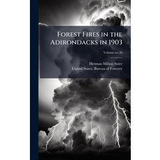 (영문도서)Forest Fires in the Adirondacks in 1903 Hardcover, Hutson Street Press, English, 9781025220505
