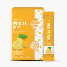 참앤들황토농원 데이앤 콤부차 레몬맛, 5g, 10개입, 1개