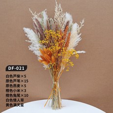 天然乾燥花束 蒲葦蘆葦永生花，居家裝飾客廳擺設，乾燥花束插花拍攝道具, DF-021號