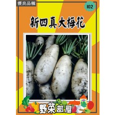 【野菜部屋】I02 新四真大梅花 蘿蔔種子 皮薄 口感佳, 1包