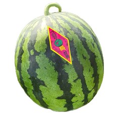 수박 고창수박 햇수박 노지수박 하우스수박 검정수박 흑미수박 흑수박 5KG 6KG 8KG, 1개