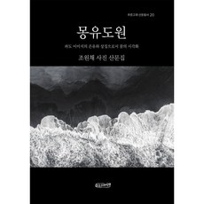 몽유도원:파도 이미지의 은유와 상징으로서 꿈의 시각화, 몽유도원, 조원채(저), 푸른고래, 조원채 저