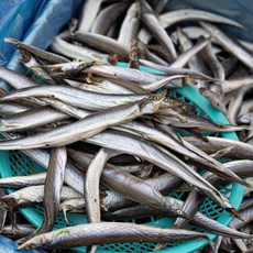 아마마 동해안 양미리, 동해안 양미리 20미 1팩