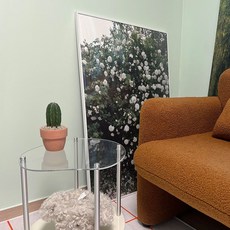 귀면각 키우기 쉬운 기둥 선인장 - 베이지 링토분, 베이지 링토분(받침불포함)