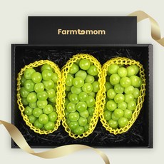 [일품3호] 과일 혼합 선물세트 (샤인3), 1개