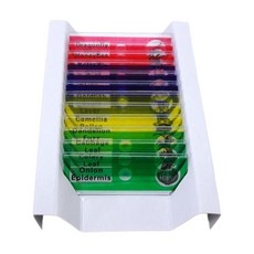 식물 동물 현미경관찰 혼합 프레파라트 12P 사이언스키트 과학실 방과후학습, 1세트