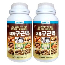 대유 구근빅 500ml 복수건, 2개