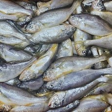 국내산 참조기 1kg, 1개, 상세페이지 참조