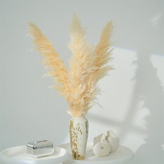 特價秒殺 雲南乾花長穗大蒲葦乾花 大蘆葦乾花 婚慶酒吧裝飾 潘帕斯乾花 居家佈置 乾燥花束 花藝設計, 原色一衹花繐長度70-80cm總長120