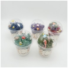 편백나무와모스이끼천연가습기만들기5인, 1개