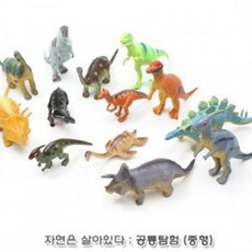 자연은살아있다 공룡탐험 (중형 79606)_ 20259777EA