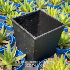 沅鈺農場 資材 黑色方盆2吋 - 育苗盆 種植盆 農業資材 盆栽容器, 1個